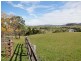 1119 Luskintyre Road, Luskintyre NSW 2321