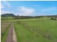 1119 Luskintyre Road, Luskintyre NSW 2321
