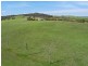 1119 Luskintyre Road, Luskintyre NSW 2321