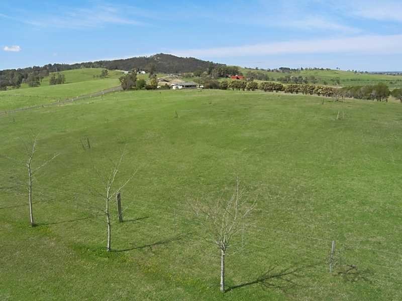 1119 Luskintyre Road, Luskintyre NSW 2321