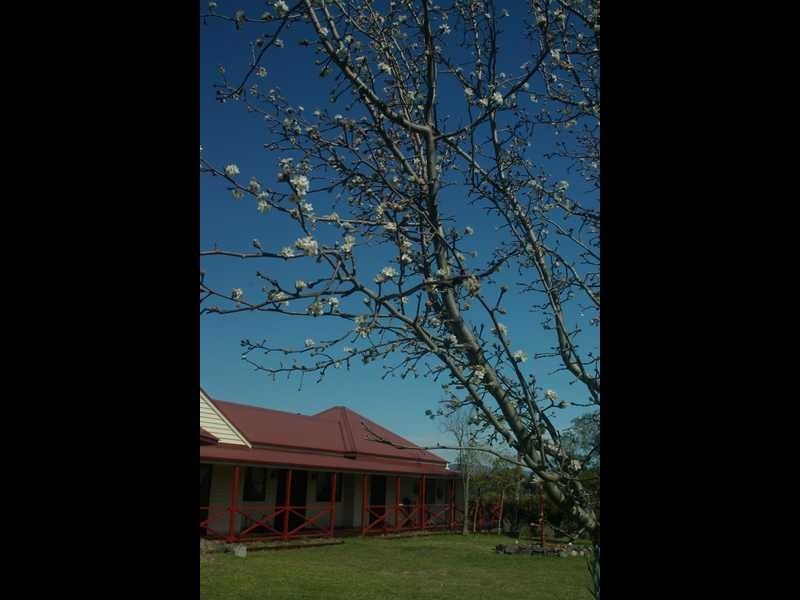 194 Clements Rd, Gresford NSW 2311