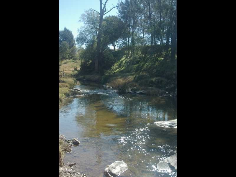 194 Clements Rd, Gresford NSW 2311