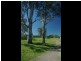 194 Clements Rd, Gresford NSW 2311