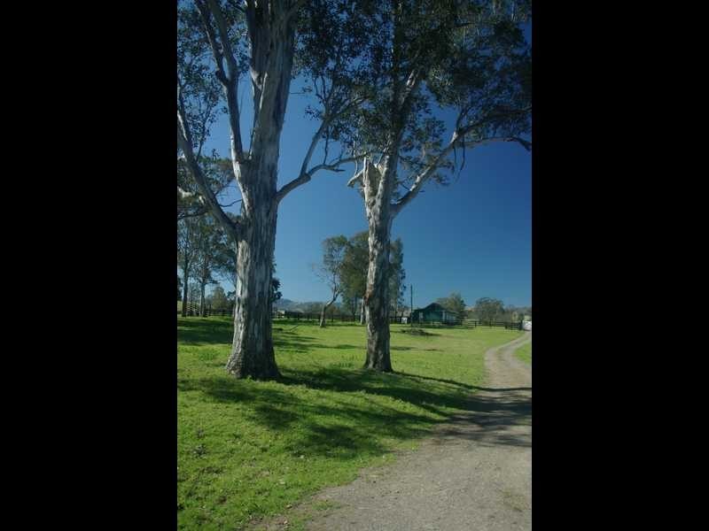 194 Clements Rd, Gresford NSW 2311