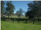194 Clements Rd, Gresford NSW 2311