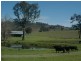 194 Clements Rd, Gresford NSW 2311