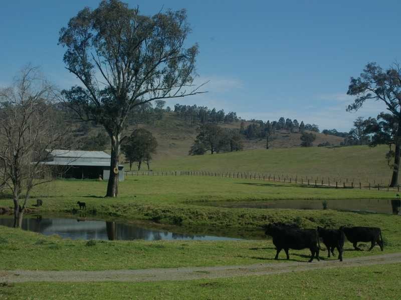 194 Clements Rd, Gresford NSW 2311