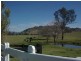 194 Clements Rd, Gresford NSW 2311