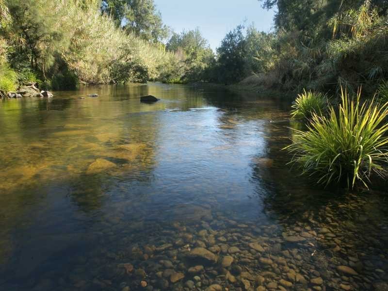 198 Torryburn Rd, East Gresford NSW 2311