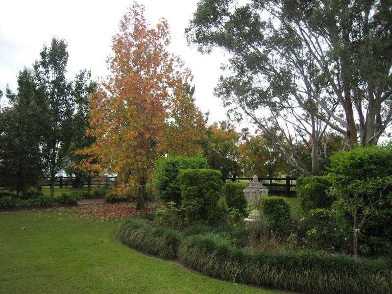 198 Torryburn Rd, East Gresford NSW 2311