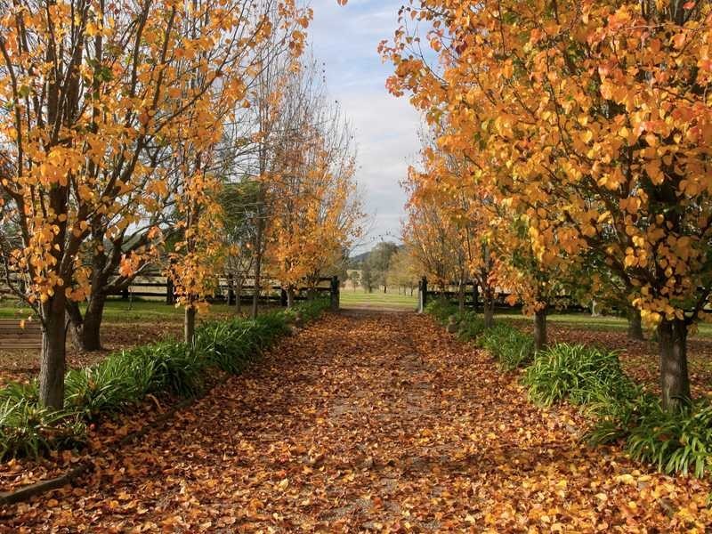 198 Torryburn Rd, East Gresford NSW 2311