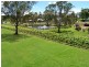 Pokolbin NSW 2320
