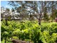 Pokolbin NSW 2320