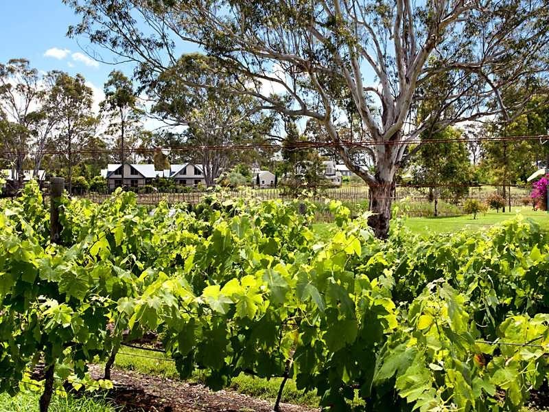 Pokolbin NSW 2320