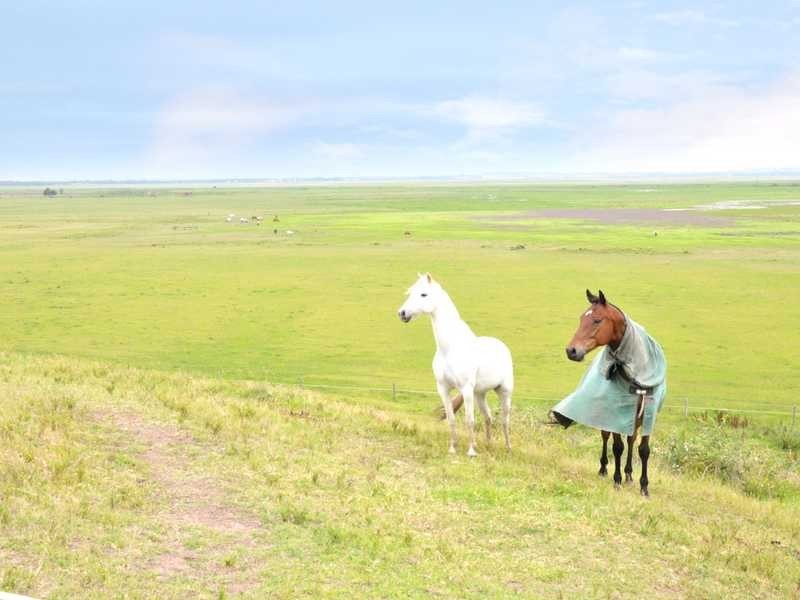 163 Lenaghans Drive, Black Hill NSW 2322