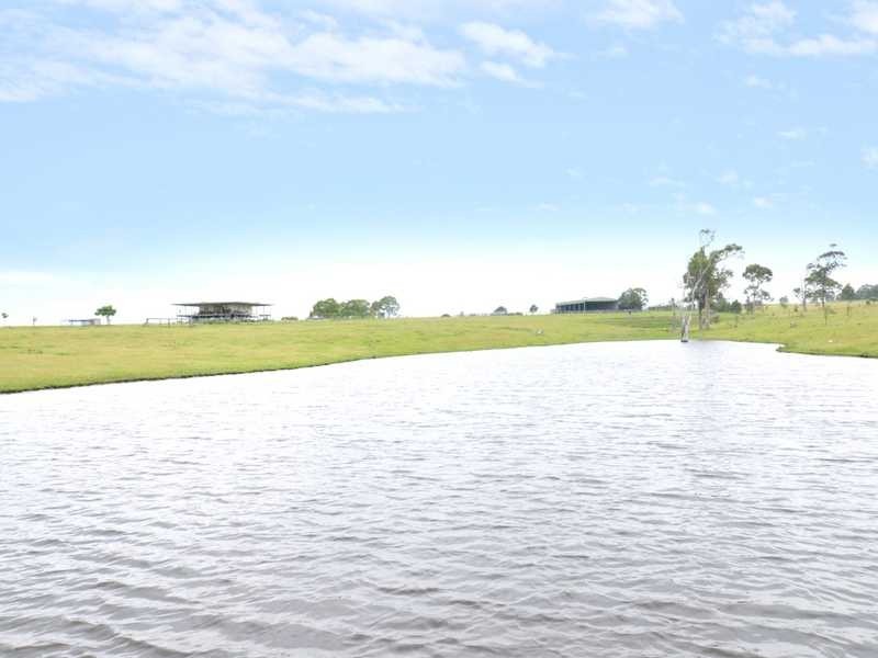 163 Lenaghans Drive, Black Hill NSW 2322