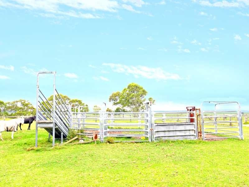 163 Lenaghans Drive, Black Hill NSW 2322