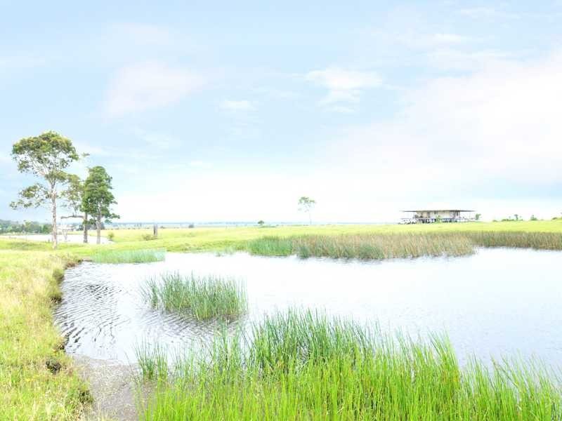 163 Lenaghans Drive, Black Hill NSW 2322