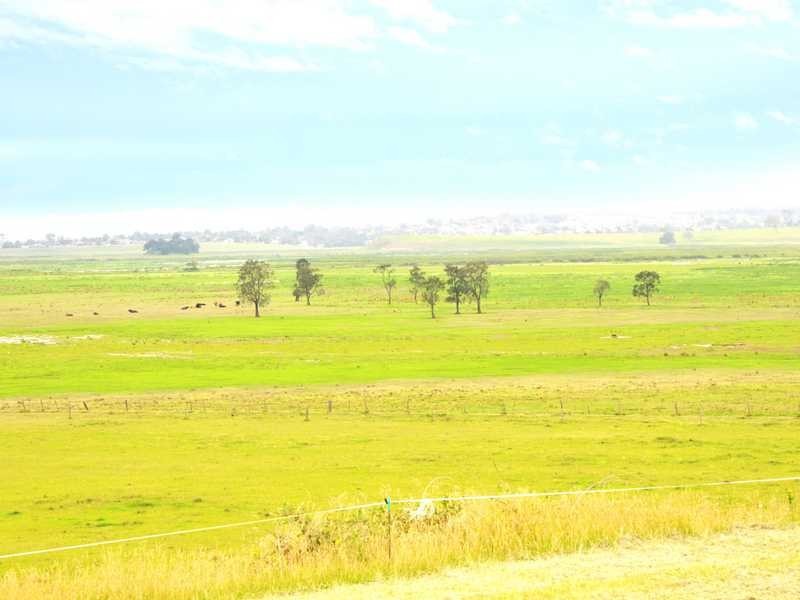 163 Lenaghans Drive, Black Hill NSW 2322