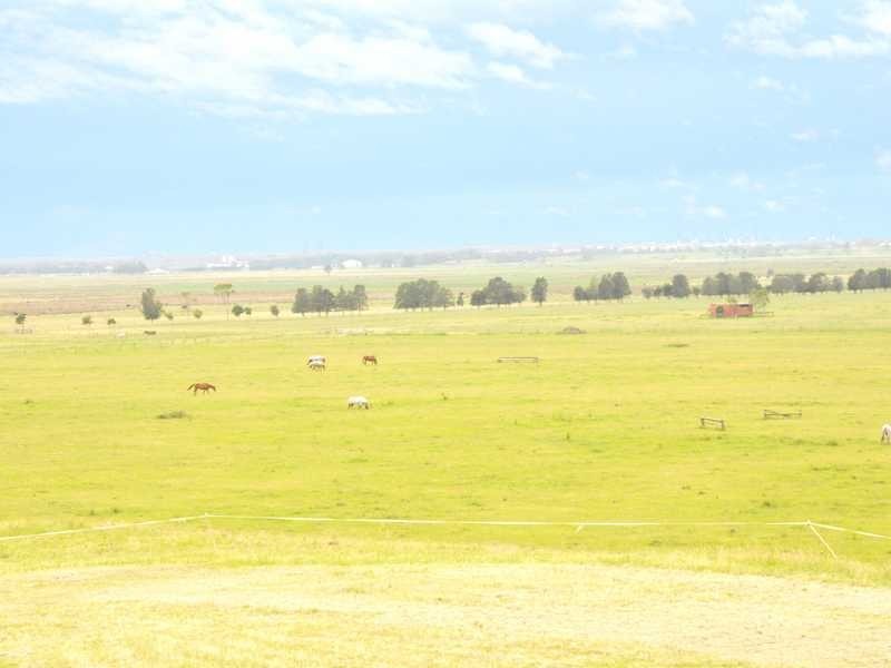 163 Lenaghans Drive, Black Hill NSW 2322