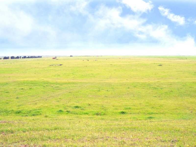 163 Lenaghans Drive, Black Hill NSW 2322