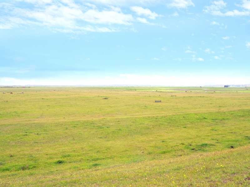 163 Lenaghans Drive, Black Hill NSW 2322