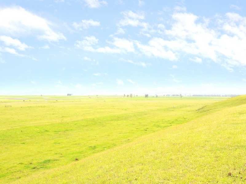 163 Lenaghans Drive, Black Hill NSW 2322