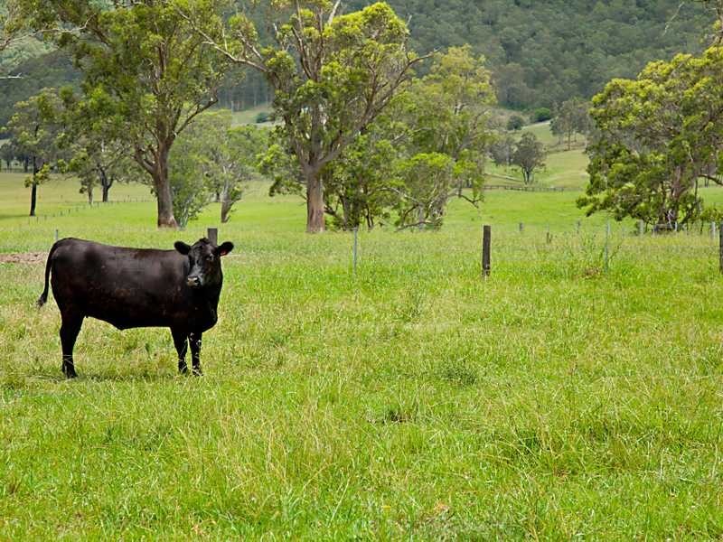 558 Gresford Rd, Paterson NSW 2421