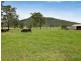 558 Gresford Rd, Paterson NSW 2421
