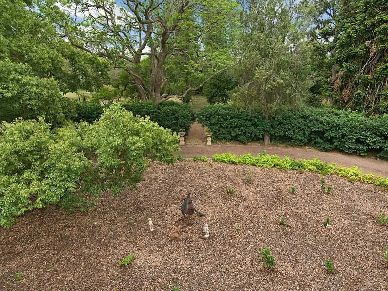 1 Elizabeth Street, East Maitland NSW 2323