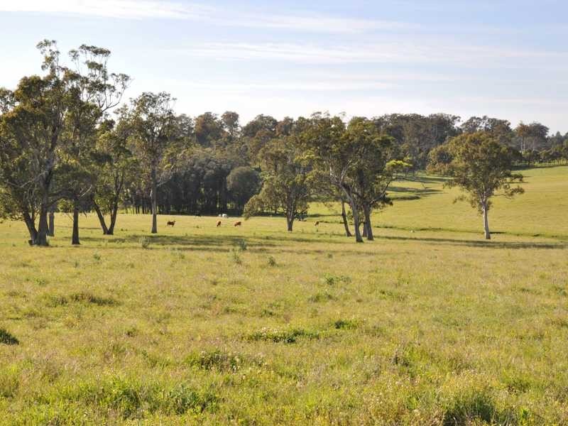 160 & 162 Maitland Vale Road, Maitland Vale NSW 2320