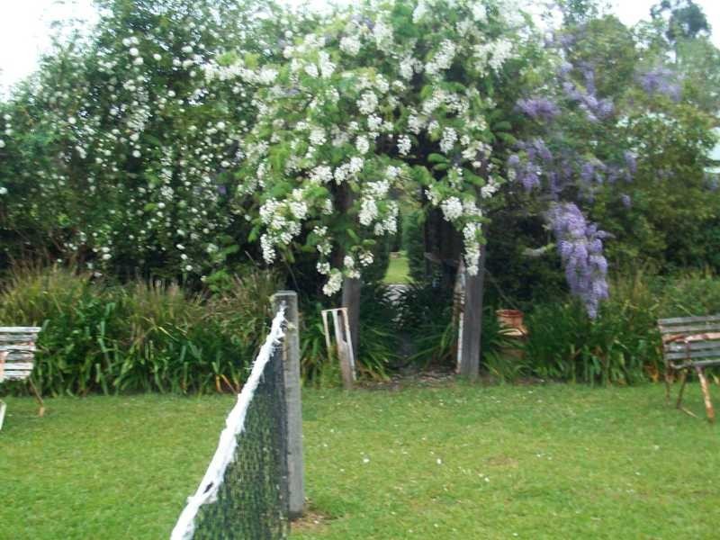 3 Dog Trap Creek Rd, East Gresford NSW 2311