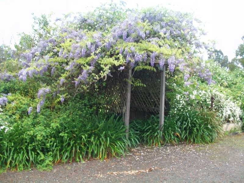 3 Dog Trap Creek Rd, East Gresford NSW 2311