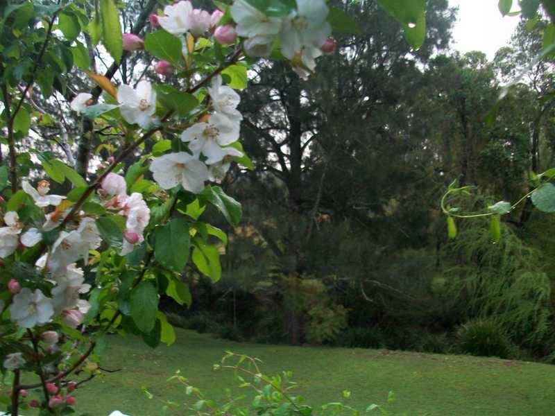 3 Dog Trap Creek Rd, East Gresford NSW 2311