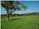 Lot 5 Paterson Grange Estate, Paterson NSW 2421