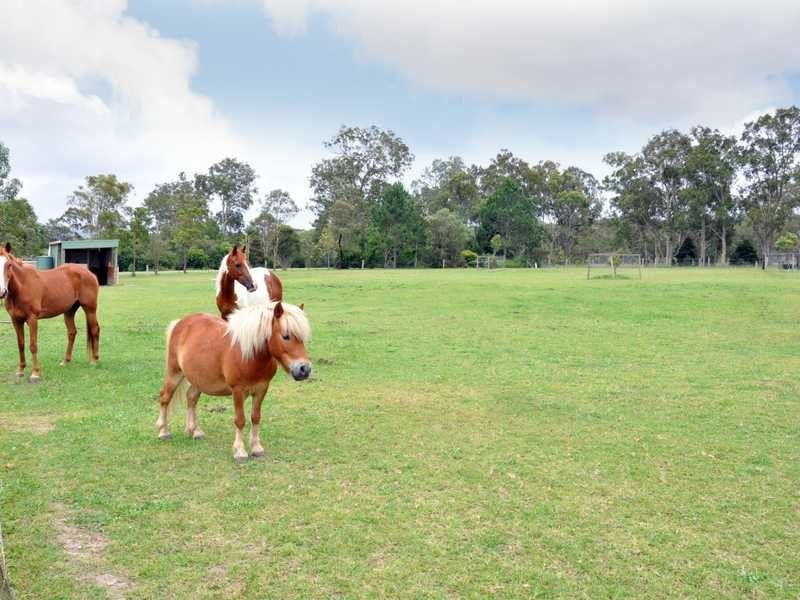 11 Reynolds St, Paterson NSW 2421