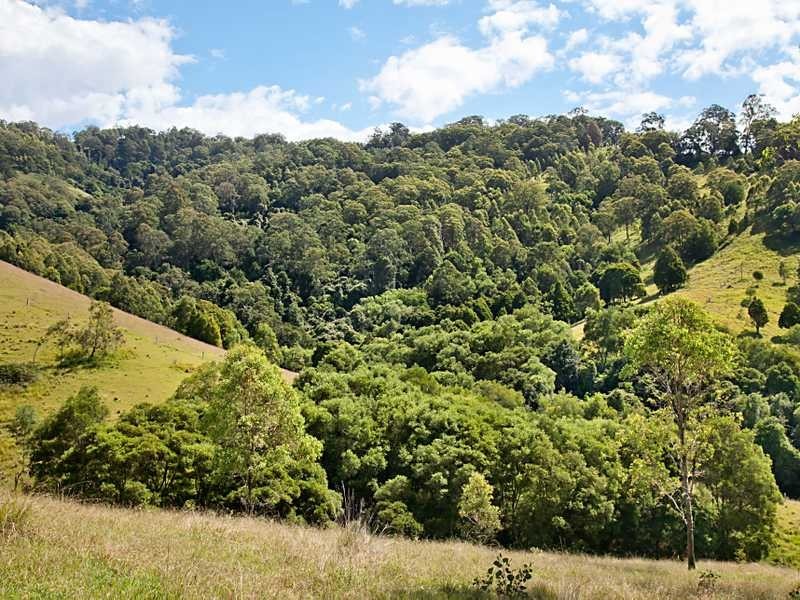 East Gresford NSW 2311