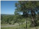 Paterson NSW 2421