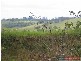 Mount Mee QLD 4521