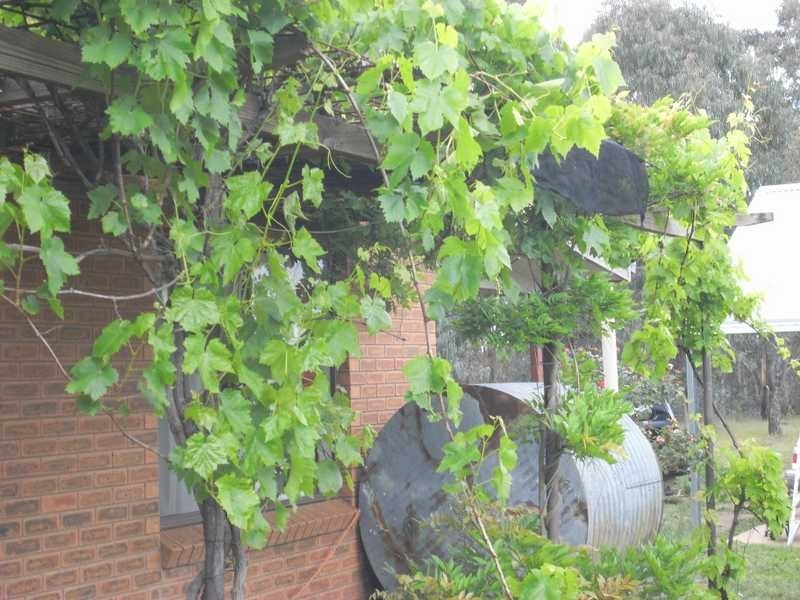 10 Avalon Downs, Dayboro QLD 4521