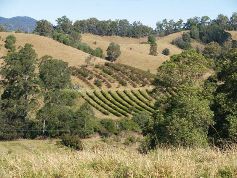 Dayboro QLD 4521