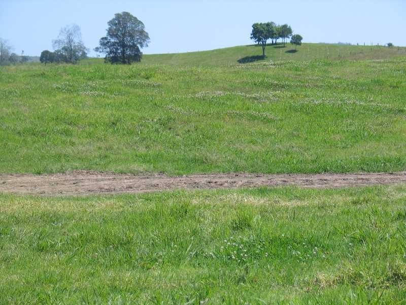 30 Oakland Court Avalon Downs, Dayboro QLD 4521