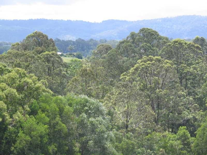 166 Armstrong Creek Road, Dayboro QLD 4521