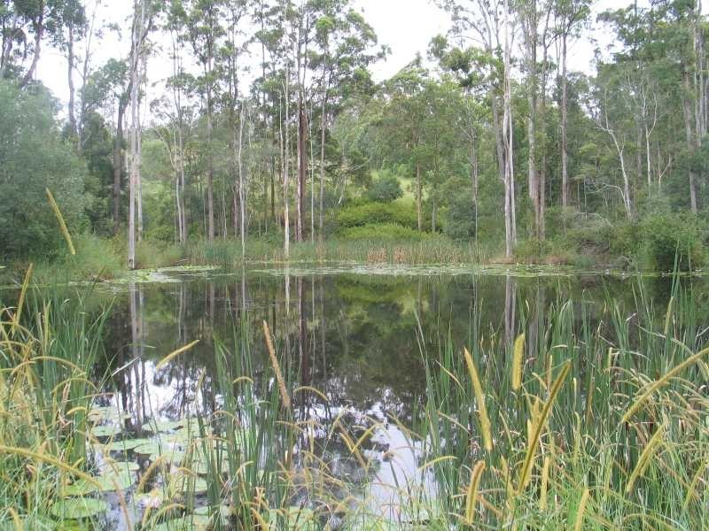 Lots 1 and 2 Mount Samson Road, Dayboro QLD 4521