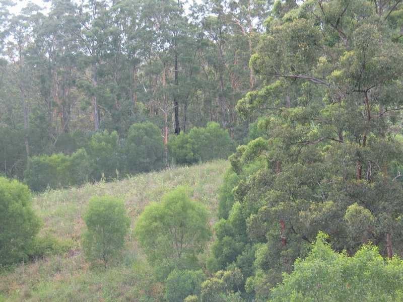 Lots 1 and 2 Mount Samson Road, Dayboro QLD 4521