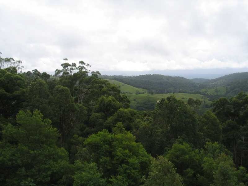 64 Miers Road, Dayboro QLD 4521