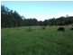 East Gresford NSW 2311