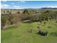 1119 Luskintyre Road, Luskintyre NSW 2321