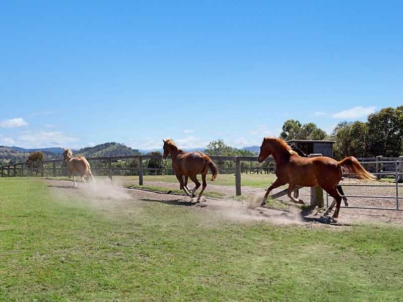 East Gresford NSW 2311