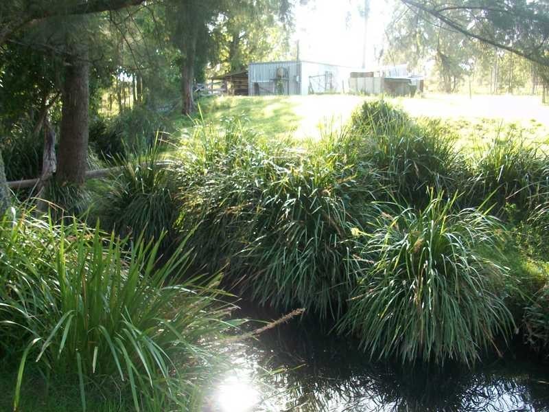 3 Dog Trap Creek Rd, East Gresford NSW 2311